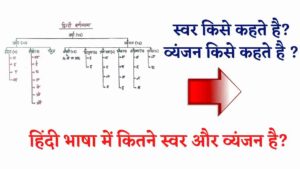 हिंदी भाषा में कितने स्वर और कितने व्यंजन हैं?