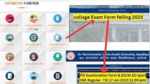 bed first year examination form 2023